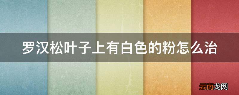 罗汉松叶子上有白色的粉怎么治