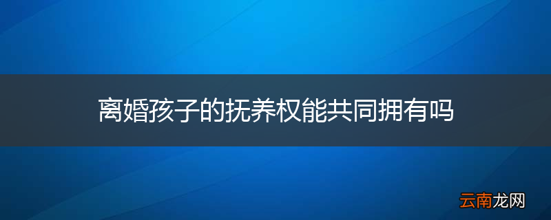 离婚孩子的抚养权能共同拥有吗