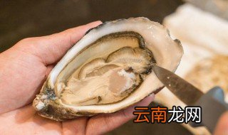 生蚝怎么洗最干净 怎么洗生蚝