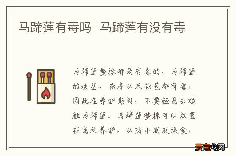 马蹄莲有毒吗马蹄莲有没有毒