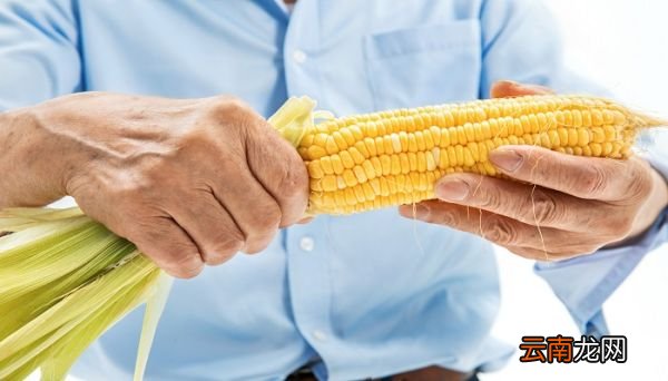 煮玉米需要多长时间 煮玉米的时间