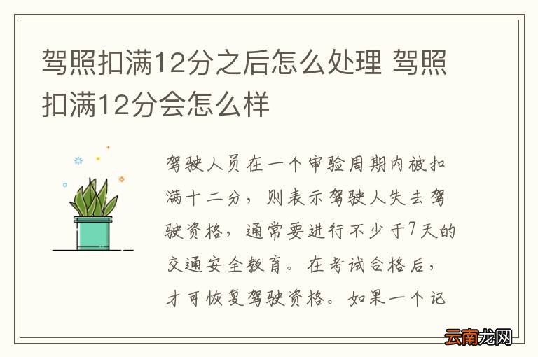 驾照扣满12分之后怎么处理 驾照扣满12分会怎么样