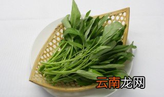 端午节后种什么菜合适 端午节前后种什么菜