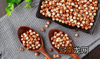 芡实加什么祛湿效果强 芡实和什么搭配除湿