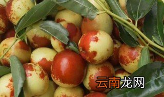 冬枣宝宝能吃吗 冬枣宝宝可以吃吗