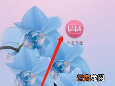 b站专栏怎么发布