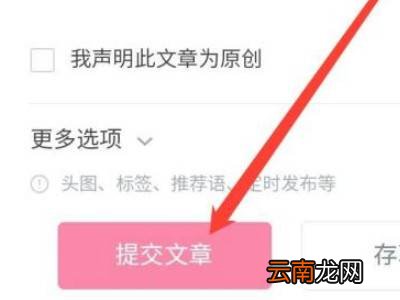 b站专栏怎么发布