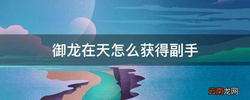 御龙在天怎么获得副手