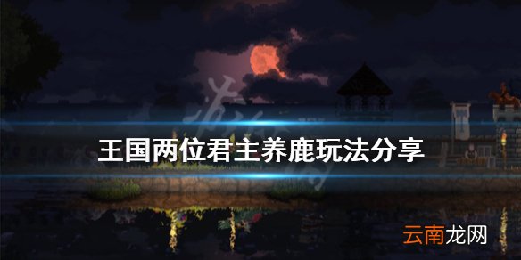 王国双冠鹿怎么养 王国两位君主养鹿玩法分享