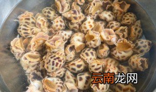 花螺怎样处理才干净 花螺处理方法