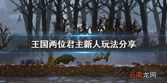 王国两位君主新人怎么玩 王国两位君主新人玩法分享