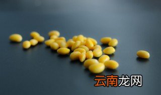 家常霉豆子的制作方法 家常霉豆子怎么做