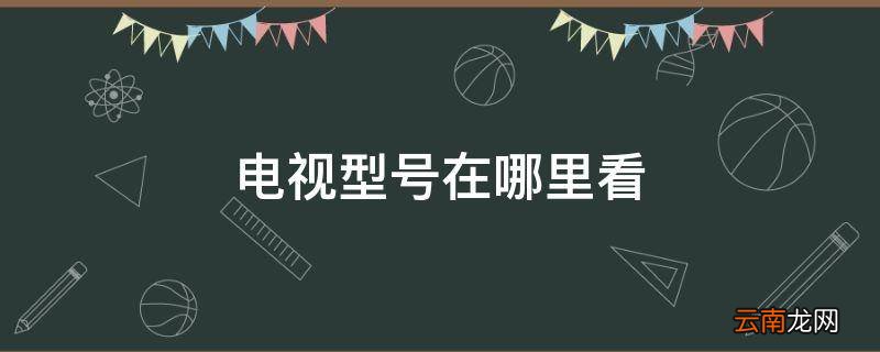 电视型号在哪里看