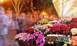 茉莉花什么盆栽好 家里栽什么茉莉花好