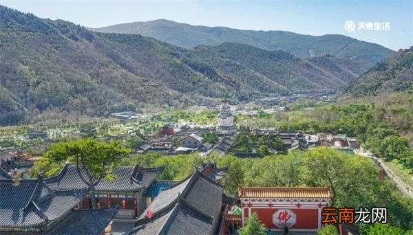 释迦塔在哪个城市 释迦塔在哪里