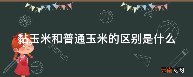 黏玉米和普通玉米的区别是什么