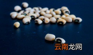 soya怎么读 soya如何读