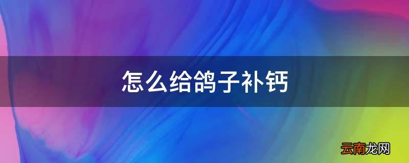 怎么给鸽子补钙