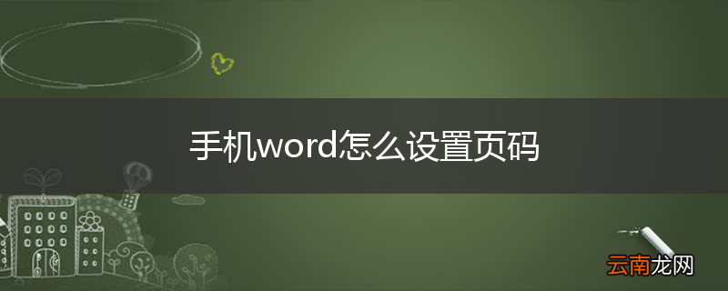 手机word怎么设置页码