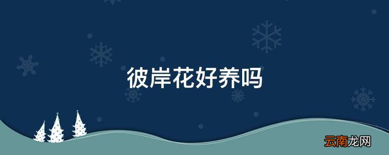 彼岸花好养吗