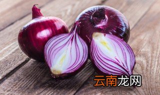 洋葱英文怎么读 洋葱的英文是什么
