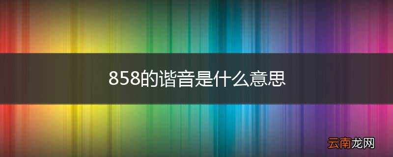 858的谐音是什么意思