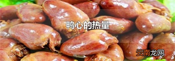 鸭心的热量