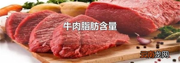 牛肉脂肪含量