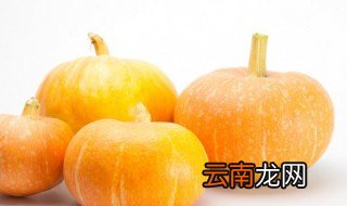 榆瓜是什么瓜 榆瓜简单介绍