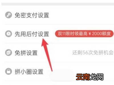 拼多多怎么设置先用后付
