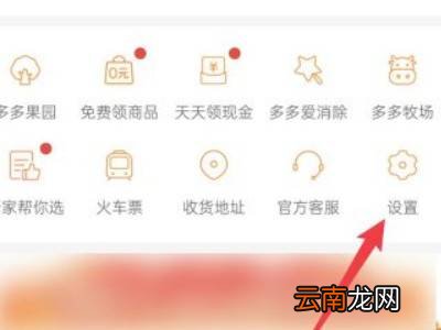 拼多多怎么设置先用后付