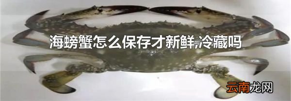 海螃蟹怎么保存才新鲜,冷藏吗