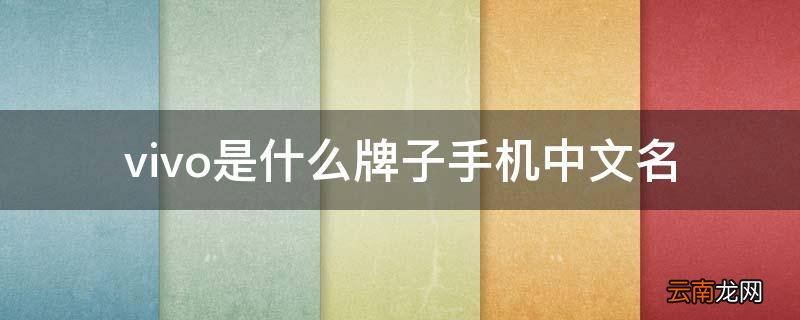 vivo是什么牌子手机中文名