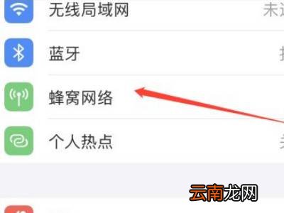 苹果13开自动5g还是独立5g