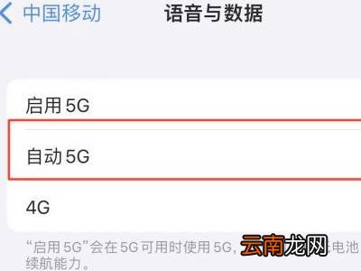 苹果13开自动5g还是独立5g