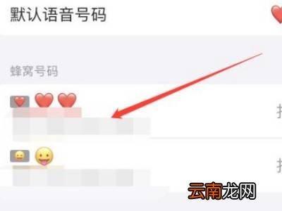 苹果13开自动5g还是独立5g