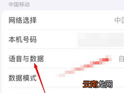 苹果13开自动5g还是独立5g