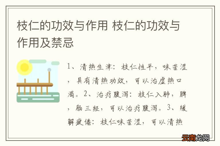 枝仁的功效与作用 枝仁的功效与作用及禁忌