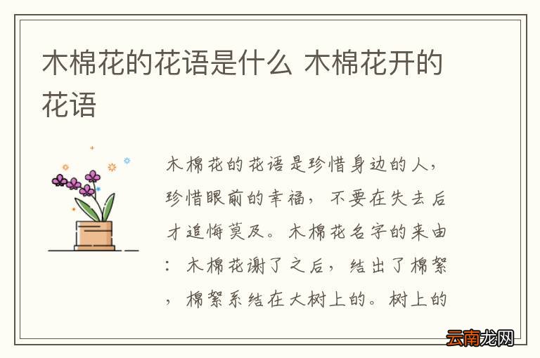 木棉花的花语是什么 木棉花开的花语