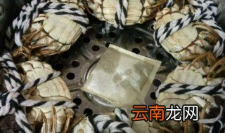 死螃蟹蒸完是什么样的 死螃蟹蒸完的味道