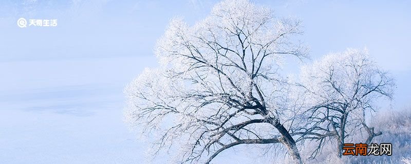 雪的句子短句唯美 感受雪景的心情短语