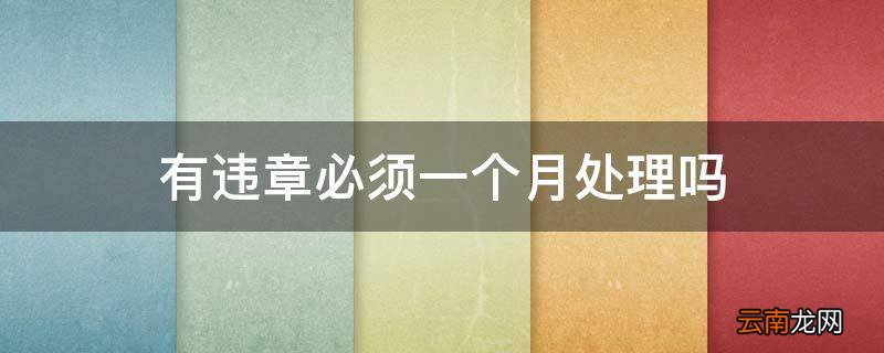 有违章必须一个月处理吗