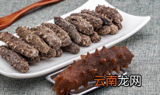 海参什么季节吃最好 吃海参最好的季节