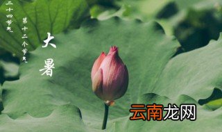 大暑节气的特点是什么 大暑节气的特点是啥