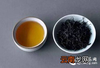 九曲红梅 —— 被遗忘的“民国范儿”