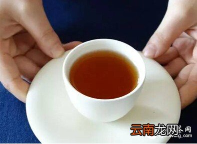 九曲红梅 —— 被遗忘的“民国范儿”