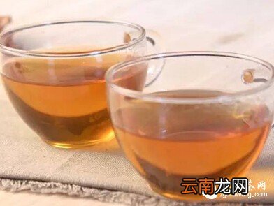 九曲红梅 —— 被遗忘的“民国范儿”