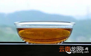 九曲红梅 —— 被遗忘的“民国范儿”