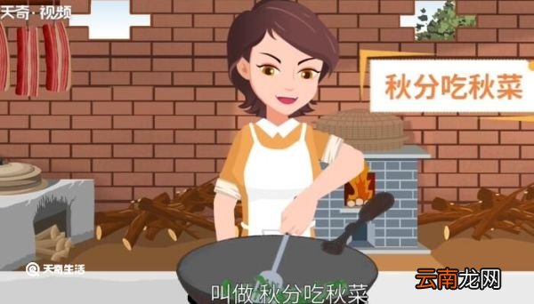 秋分吃的秋菜是什么 秋分吃的秋菜是什么呢