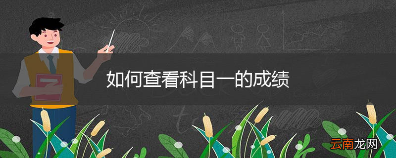 如何查看科目一的成绩